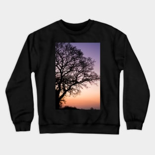 Oak Tree Sunset Crewneck Sweatshirt